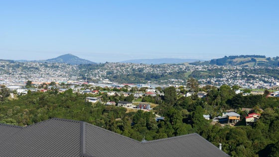 4601559_3.jpg