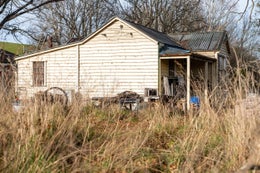 4603242_1.jpg