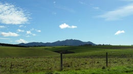4700156_1.jpg