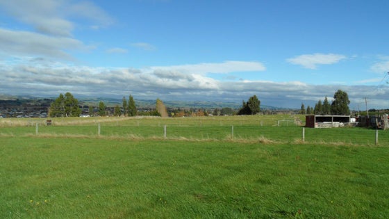 4700156_3.jpg