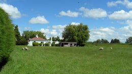4700228_1.jpg