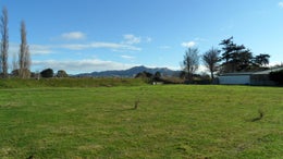 4700306_1.jpg