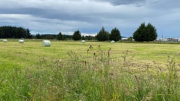 4700525_1.jpg