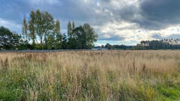 4700562_1.jpg