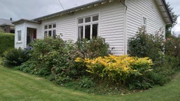 4700565_1.jpg