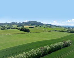 4701016_1.jpg