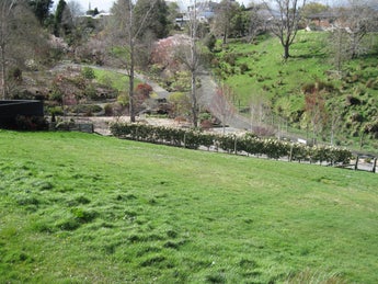 4701051_1.jpg