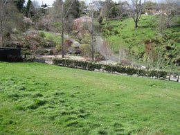 4701051_1.jpg