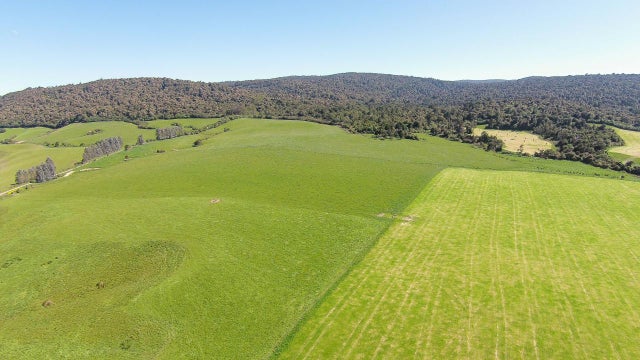 Rural Asking Price NZ$3,750,000 + GST: 78 Haldane Curio Bay Road ...