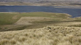4850045_1.jpg
