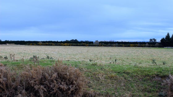 4850070_3.jpg