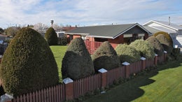 4850270_1.jpg