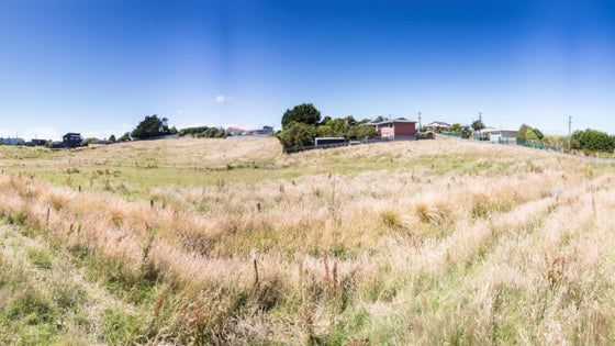 4850311_3.jpg