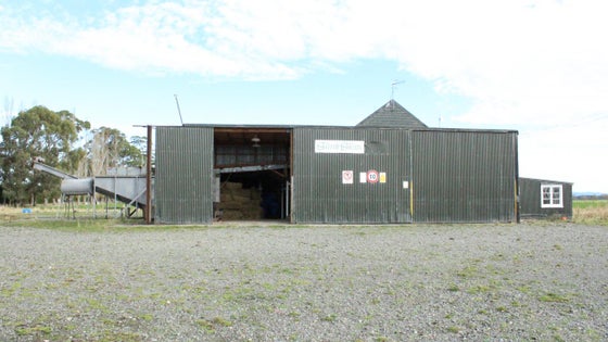4850460_2.jpg