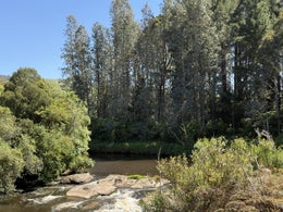 4852445_1.jpg