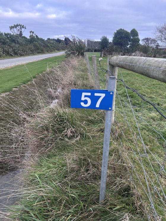4853186_2.jpg