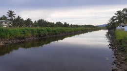 5000054_1.jpg