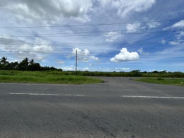 5000255_1.jpg