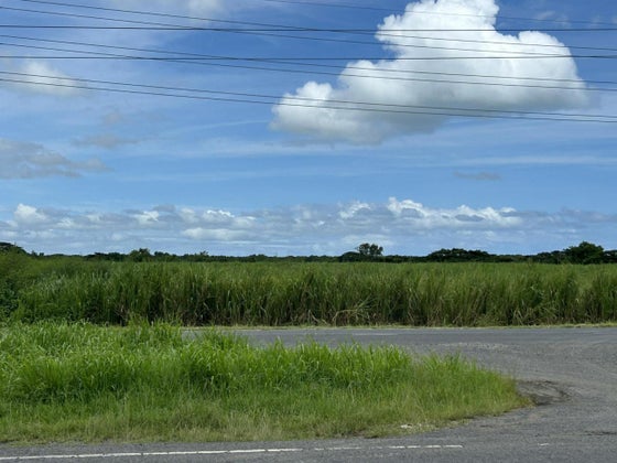 5000255_3.jpg