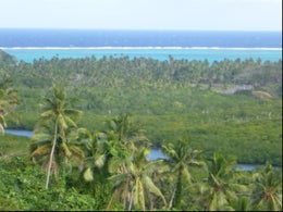 5000367_1.jpg