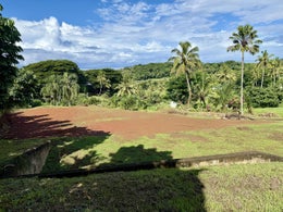 5000406_1.jpg