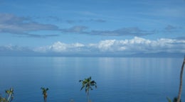 5000439_1.jpg