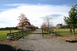 510998_1.jpg