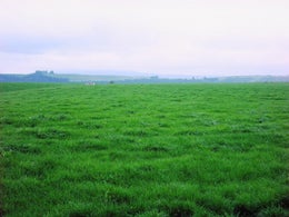 511082_1.jpg