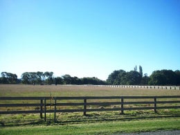 511216_1.jpg