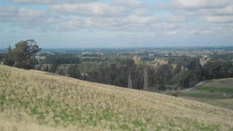 511644_1.jpg