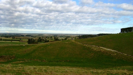 511644_2.jpg