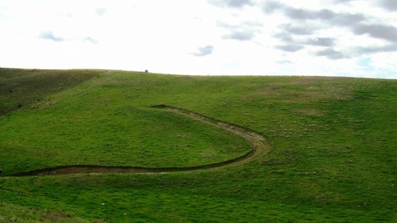 511644_3.jpg