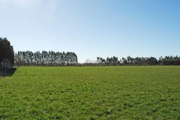 511800_1.jpg