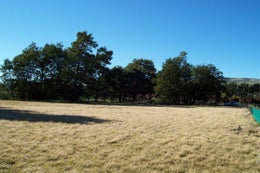 511835_1.jpg