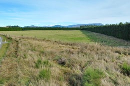 511869_1.jpg