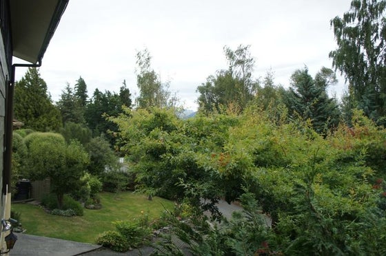 511909_2.jpg