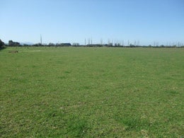 511947_1.jpg