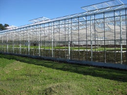 512640_1.jpg