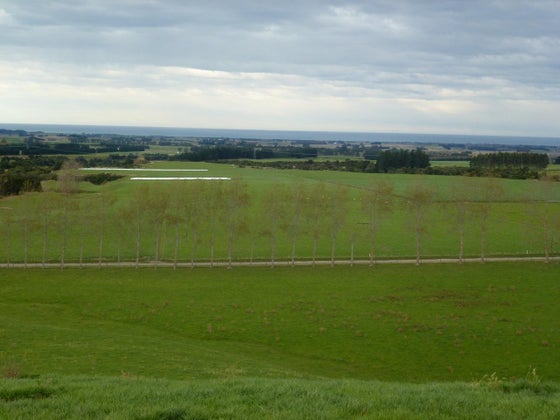 513119_3.jpg