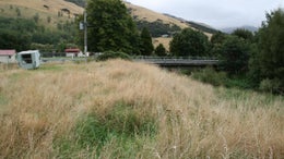 513230_1.jpg