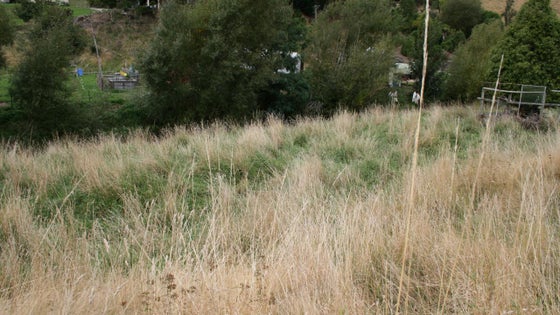 513230_2.jpg
