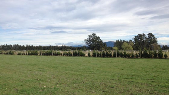 513741_3.jpg