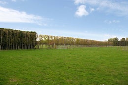 513921_1.jpg