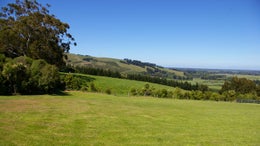 514051_1.jpg