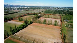 514970_1.jpg