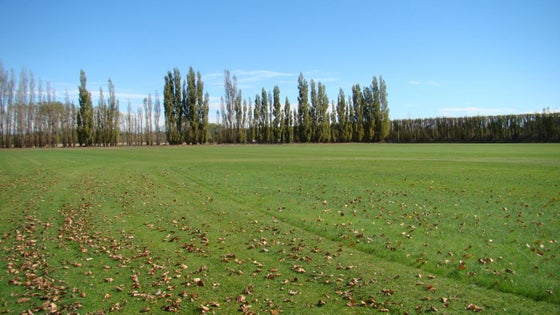 514970_2.jpg