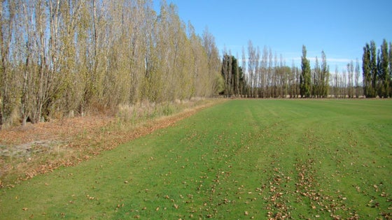 514970_3.jpg