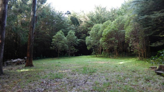 515097_2.jpg