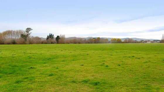 515292_3.jpg