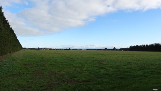 516073_3.jpg